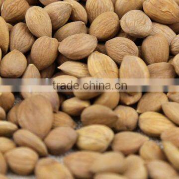 Good taste raw almonds in shell