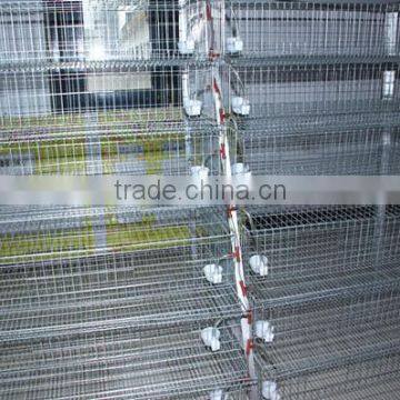 china new design best selling quail layer cage design