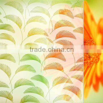 12mm Acid etched glass