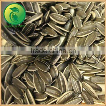 Hot Sale Sunflower Seeds Vegetable photo-3