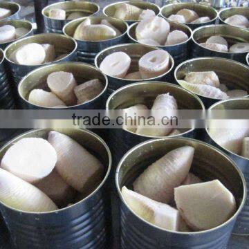 Natural water bamboo shoot from Bailin factory