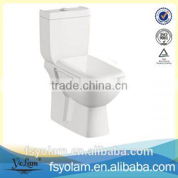 YLF1001 washdown sanitary ware Africa two-piece toilet