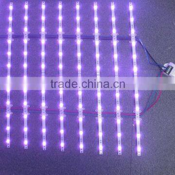 LED Backlight LED Ladder Module for Signage photo-6