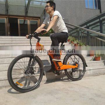Flyer Cheap but Good Electric Bicycle With High Quality photo-6