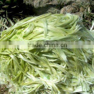 SISAL FIBER SUPPLIER