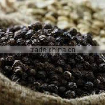 VIETNAM BLACK PEPPER FOR EXPORTING TO EGYPT MARKET