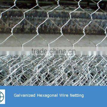 Cheap Price High Quality Fence Mesh Chicken Wire Mesh photo-6