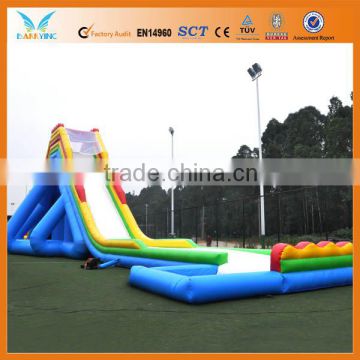 Commercial giant hippo water slide for adult