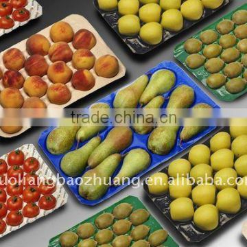 Salable Packaging PP Fruit Tray with SGS Certificate