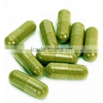Healthy Moringa Olifera 420 mg Capaules for Wholesale