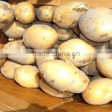 Fresh Potato From Bangladesh
