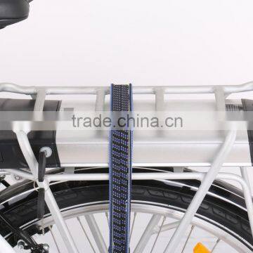 Rear Carrier Electric Bike Lithium Ion Battery photo-4