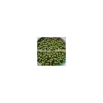 green mung beans