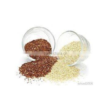 FRESH QUINOA photo-6