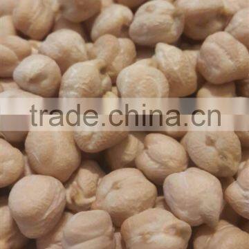 Origin Turkey Chickpeas 8mm for Europe