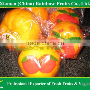 YongChun premium Mandarin orange/pokan/Lokan