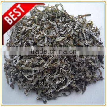 Well quality sun dried laminria shredded