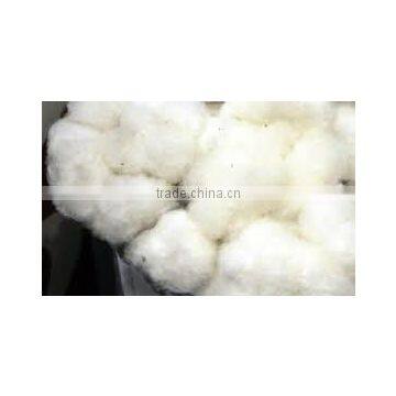 raw cotton importers