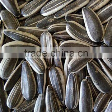 5009 Sunflower Seeds for Human Consumption photo-3