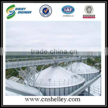 Agricultural Drag Chain Grain Conveyor Machine Equipment photo-5
