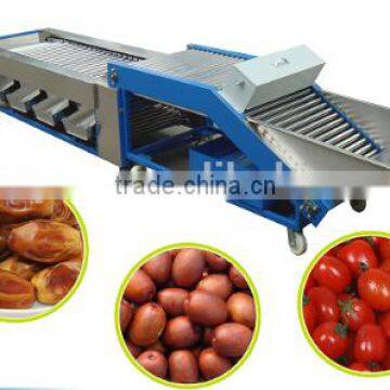 THOYU Brand Stainless Steel Dates Fruit Grading Machine by Size(0086 15937167907) photo-2
