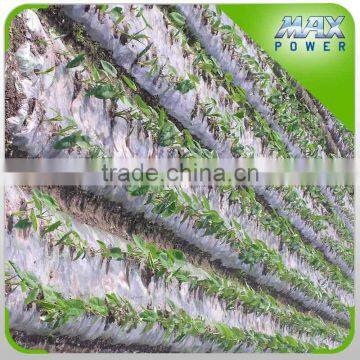 PE Mulch Film 2 Layers photo-2