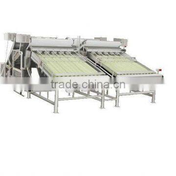 Shrimp Grading Machine Shrimp Grader