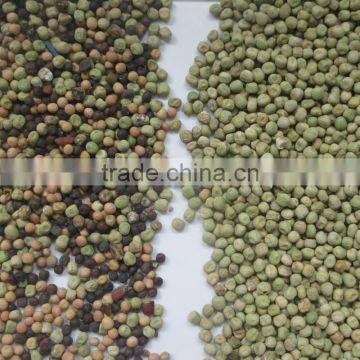 Excellent Quality CCD Grains Color Sorter Beans Color Sorter photo-4