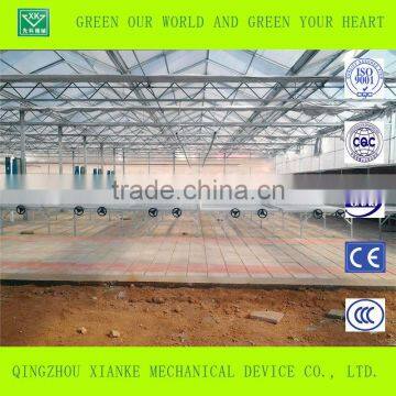 PC Sheet Seeding Agricultural Greenhouse for Sale photo-5