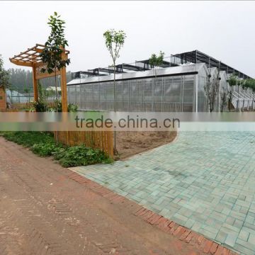 New design glass greenhouses used with high quality