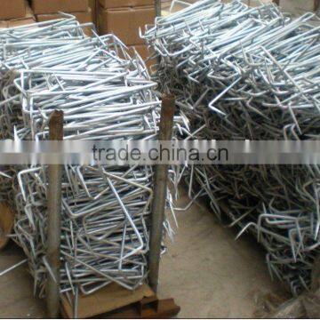 Common Galvanized Steel Nail