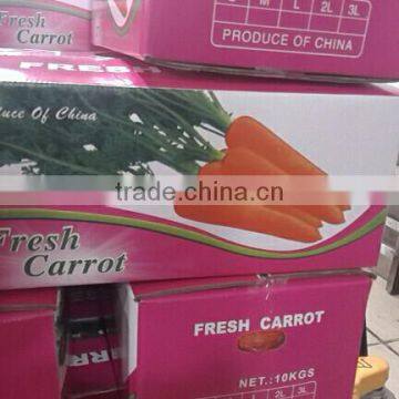 Wholesale Chinese Fresh Carrots With High Quality and Good Price photo-2