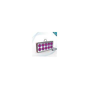 Apollo LED Grow Lights photo-3