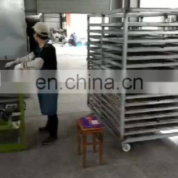 Cashew peeling machine/Roasted cashew skin peeling machine line/Automatic cashew peeling machine line