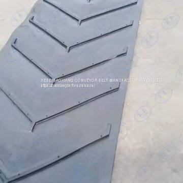 Polyester Conveyor Belt Inflammable Conveyor Belt Alkali Resistant Conveyor Belt General Conveyor Belt photo-3