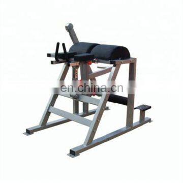 sports equipment/machine gym /Reverse Hyper Extention