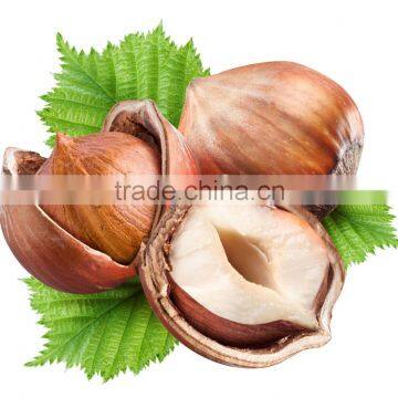 raw hazelnut