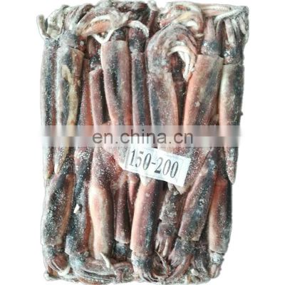 sea frozen whole round illex squid frozen illex squid price all size