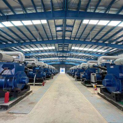 Multi-Gas Generating Solution Provider 10.5kv Biomass Gas Power Generators Set photo-2