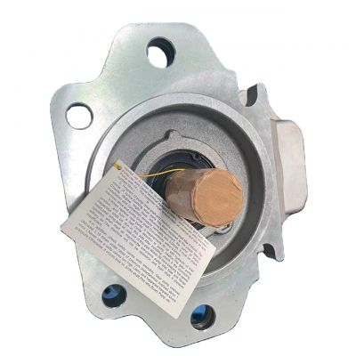 WX Factory direct sales Price favorable  Hydraulic Gear pump FL5  for Komatsu  pumps Komatsu