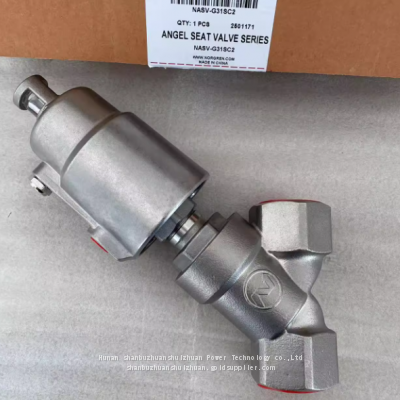 NASV-G31SC2, Norgren, Angle Seat Valve G1' Thread photo-2