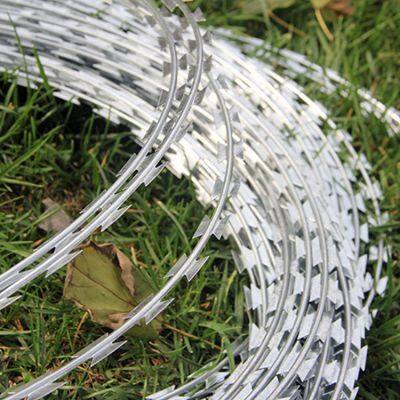 Hot-Dipped Galvanized or PVC Coated Concertina Razor Wire for Heavy-Duty Fencing photo-2