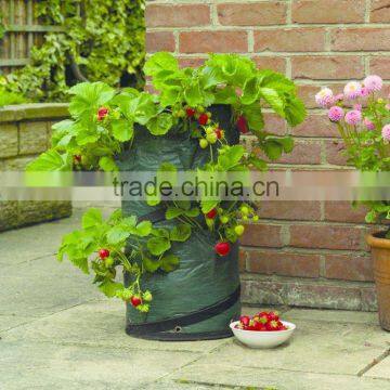 Strawberry planter