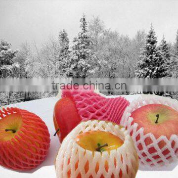 Different Type Food Grade Disposable Plastic EPE Foam Net photo-6