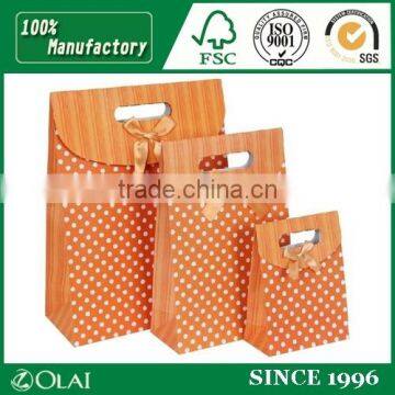 Deluxe Ribboned Orange Gift Paper Bag