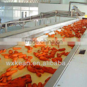 Conveyer belt for fruits and vegetables