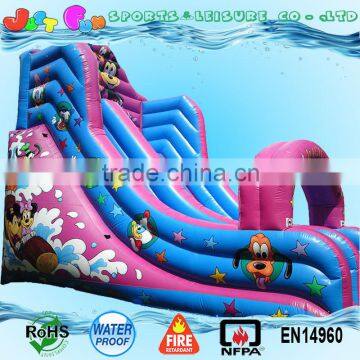 the Magic Kingdom Giant Inflatable Slide for Children, Cartoon Themed Inflatable Castle Slide for Sale photo-2