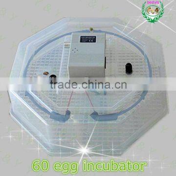 JN2-60 mini egg incubator Electric chicken egg hatching machine used chicken egg incubator for sale