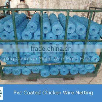 Lowest Price Glanvized Poultry Wire Netting photo-3