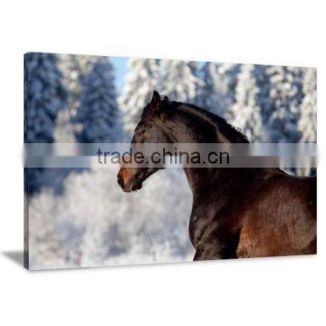 Horse Animal Canvas Printed Painting Art For Livingroom Decoration DWYS60